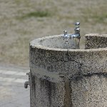 水飲み場