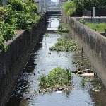 用水路