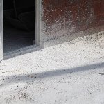 体躯用具室っぽい場所