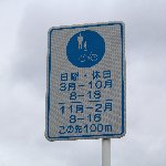 道路標識 この先100m