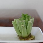 大根の上の部分