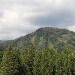 山