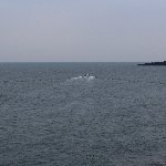 東尋坊