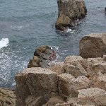 東尋坊