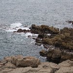 東尋坊