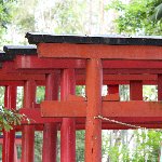 赤い鳥居
