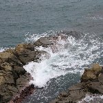東尋坊