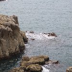 東尋坊