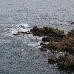東尋坊