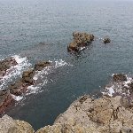 東尋坊