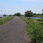 とある土手