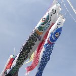 こいのぼり