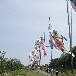 こいのぼり