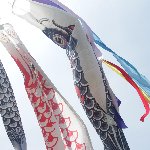 こいのぼり