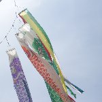 こいのぼり