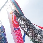 こいのぼり