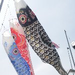 こいのぼり