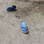 脱げたサンダル