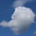 雲